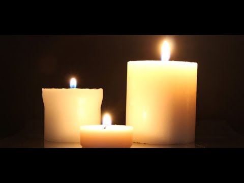 Wszyscy obserwowali, jak walczył do samego końca. Niestety, nie żyje | Aktualności 360