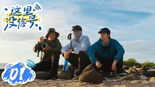 【这里没信号 No Signal】第1集：先出发再说 | 腾讯视频 - 纪录片