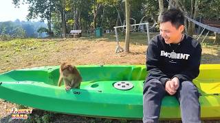 Time has passed, but Dad still wants to bring Monkey Kaka back.