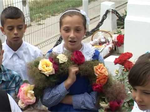 29 05 petre ghelmez gogosari