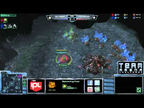 Complexity vs FXO - Game 2 - TAC3 LR3 - StarCraft 2