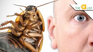 5 Bugs That Could LIVE IN YOUR HEAD