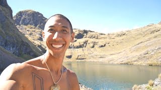 Peruvian Cactus, San Pedro (Mescaline) vs Ayahuasca: What's The Difference