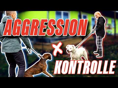 WAS IST DER WAHRE KERN?