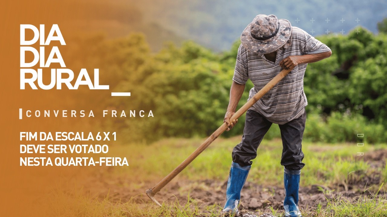 Fim da escala 6 x 1 deve ser votado nesta quarta-feira