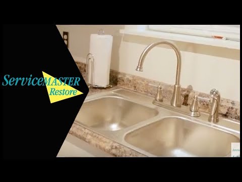 Mold Safety - How Can I Prevent Mold in my Kitchen - ServiceMaster Restore