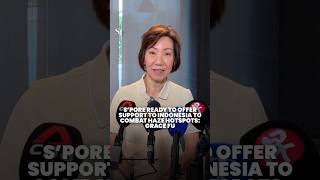 Grace Fu: Singapore ready to assist with Indonesia over haze-causing forest fire