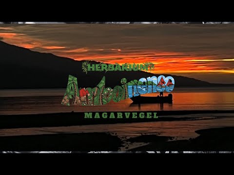Magarvegel - Herbarium Amboinense (Rumphius’s Legacy) (Feat. Farid Jamaika & Kai) (Visualizer)