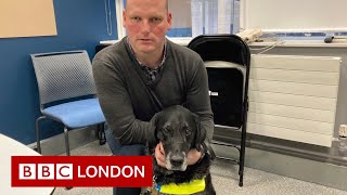 Tesco refuse access with guide dog- BBC London