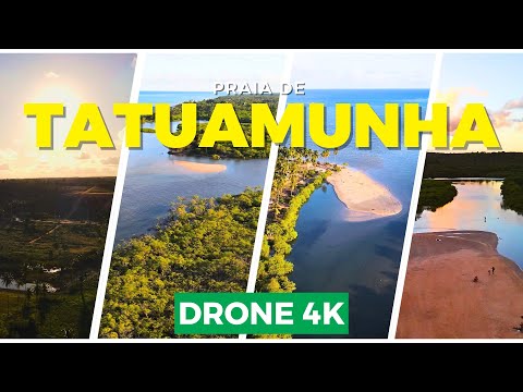Tatuamunha (AL) em 4K – Um dos lugares mais lindos da Costa dos Corais | Imagens Aéreas Cinemáticas