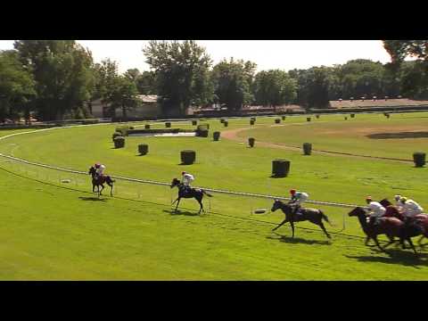 BA 24.06.2017 - Dostihy 3 - Cena Volkswagen Arteon