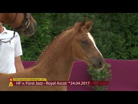 KN 43 First Chestunt H Hf v. Füst Jazz - Royal Ascot