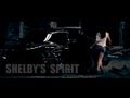 "Shelby's Spirit" (www.bilichenko.org) 