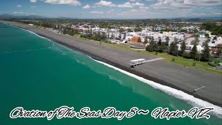 Ovation of The Seas Day 8 ～ Napier NZ。｜海洋赞礼号第8 天新西兰纳皮尔