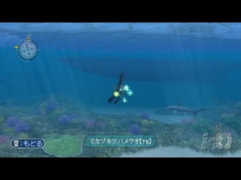 Endless Ocean Nintendo Wii Gameplay - Interacting with Fish