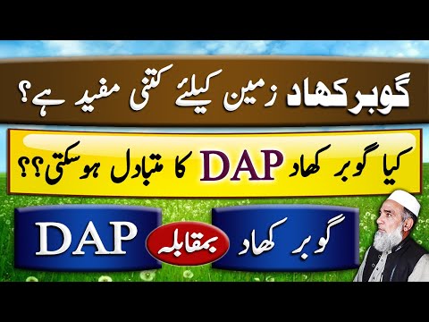 Gobar khad Vs DAP | Benefits of gobar khad | Crop Reformer