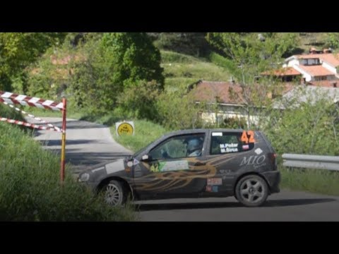 8  Rally Vipavska dolina 2018
