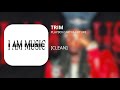 TRIM Playboi Carti Future Clean