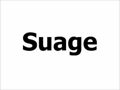 How to Pronounce Suage
