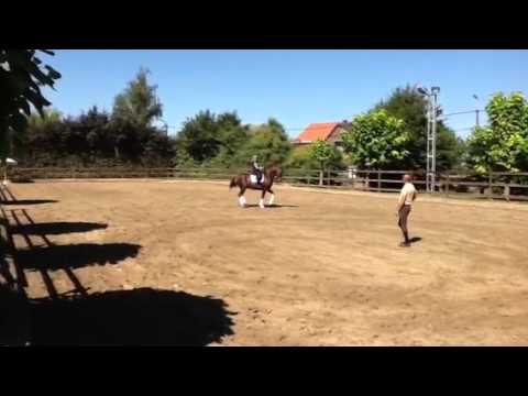 Rahmannshof Fegefeuer 05/09/2013