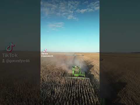 cosecha d maíz. landeta santa fé argentina