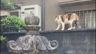 大好きだよ太郎