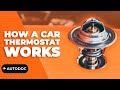 How A Car Thermostat Works AUTODOC Autodoc Carhack