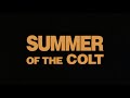 Summer of the Colt (Tales for All #8 / 1989) Trailer