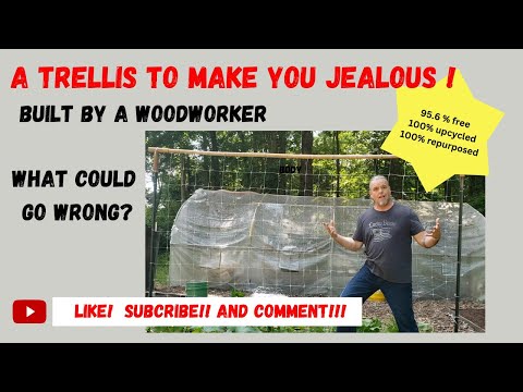 Another trellis to make you jealous..made by a woodworker