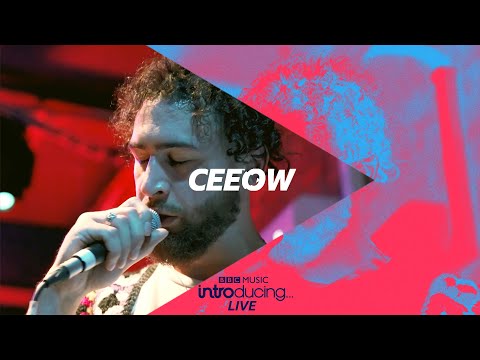 Ceeow - Lessons (Introducing LIVE 2021)