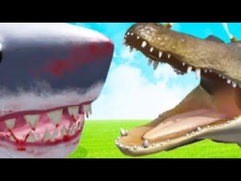The Megalodon Vs The Giant Alligator