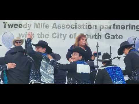 PALO PALO BONITO * PROVOCAME * CHEQUE PEÑA JR, Y BANDA VALLARTA SHOW