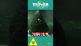 【ティアキン】鉄壁のラウルセンサーを掻い潜れ！？判定の抜け道を探し出せ！！【祠攻略】＃Shorts