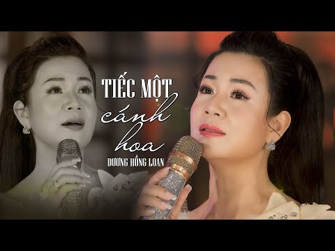 Tiếc một cành hoa - Dương Hồng Loan