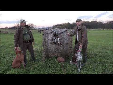Spotkałem Myśliwych - odcinek 267  Polujemy nad Wisłokiem i próbujemy burgerów z kaczki