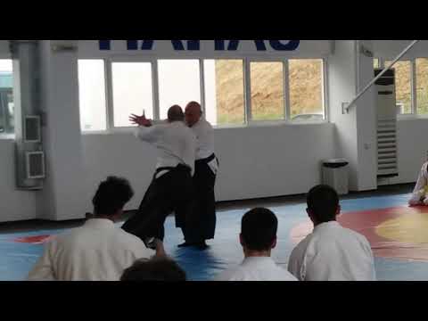 Seminar in Varna 15-17.06.2017 - Michele Quaranta - Video 5