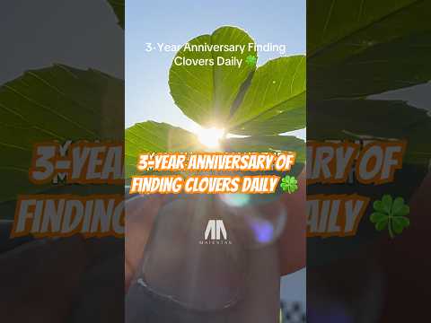 Day 1,096 of my streak. 🍀 3-Year Anniversary!