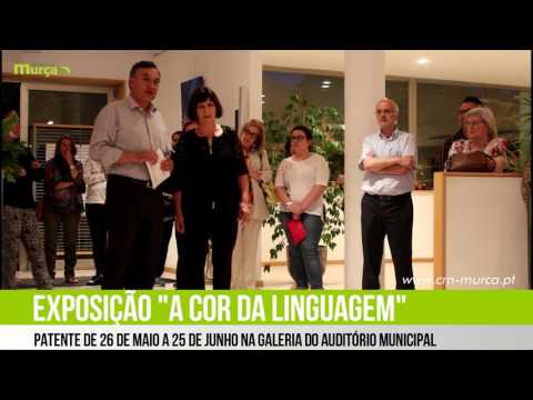 Exposição "Cor da Linguagem" de Neusa Sobrinho