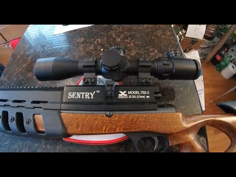 Xisico Sentry PCP- shooting with the scope!