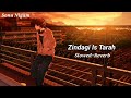 Zindagi Is Tarah Se Full Song Slowed Reverb Sonu Nigam Lofi Textaudio