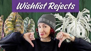 Why These Popular Plants Didn’t Make My 2026 Wishlist