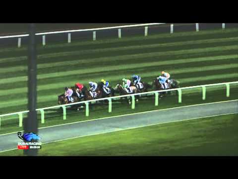 29.01.2015 Meydan (Dubai/UAE) 4.Race Cape Verdi - Group II 1.600 m