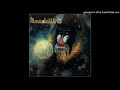 07 Lord of the Golden Baboon-Mandrill