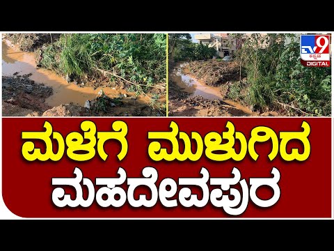 Bangalore Rains: ಮಳೆಗೆ ರಸ್ತೆಗಳು ಜಲಾವೃತ, ಅಂಡರ್‌ಪಾಸ್‌ಗಳು ಮತ್ತೆ ಮುಳುಗಡೆ; ಇಂದು ಕೂಡ ಮಳೆ ಸಾಧ್ಯತೆ - Kannada News | Bengaluru rain updates Roads and underpass waterlogged rain to continue in bengaluru | TV9 Kannada