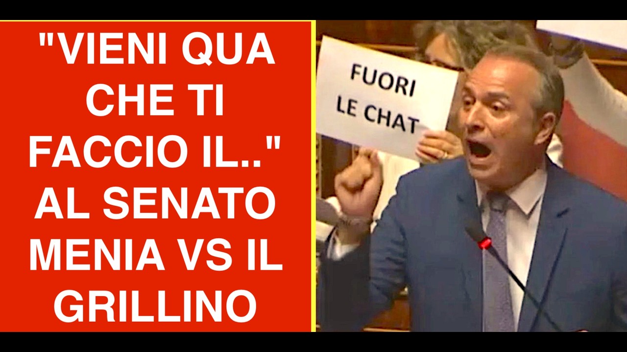 "VIENI QUA CHE TI FACCIO IL.."  BAGARRE AL SENATO MENIA DI FDI VS IL GRILLINO