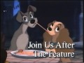 Join Us After The Feature Lady And The Tramp Variant