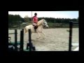 Mary Poppins 1998 Medium Pony Mare