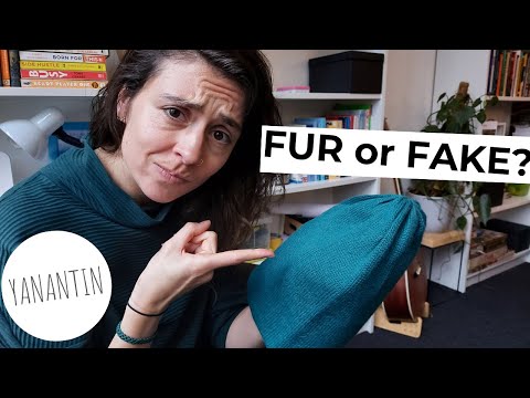 How Do You Recognize REAL Alpaca? || Easy tips and tricks