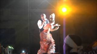 Juan Luis Guerra en la Coronación de la Reina del Carnaval de Barranquilla 2014