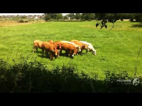 Stoomtrein+Vetschau dorpje in Duitsland